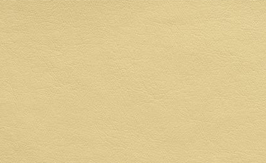 Leather Chair Pad for model HAY AAC10 (Set of 6) - Deszine Talks