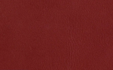 Leather Cover for Poul Kjærholm PK22