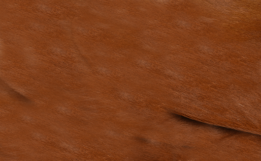Hairon Leather Six cushions for Arne Jacobsen's Astole model 3107/3207 (7éren) - Deszine Talks